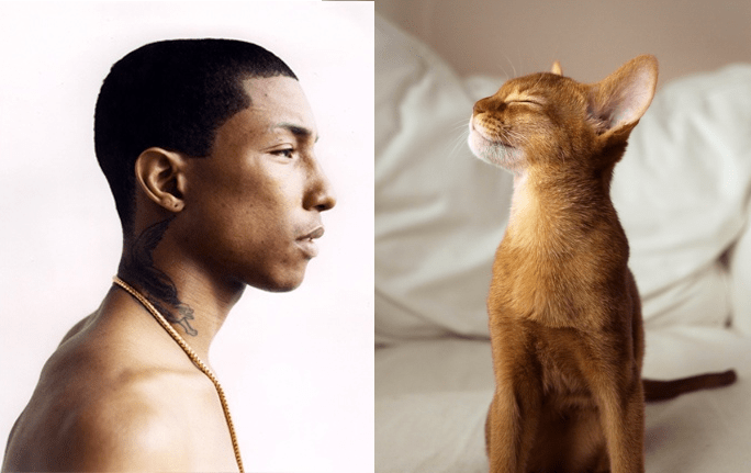 tumblr_mm468k4QXY1s77zr6o1_1280