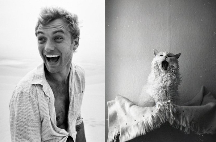 tumblr_mqbxrxL0EB1s77zr6o1_1280