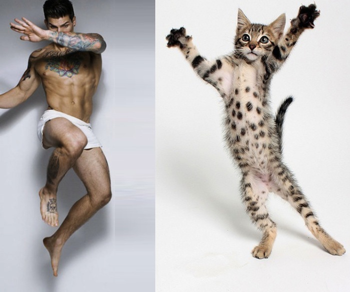 tumblr_mr7r53rHa51s77zr6o1_1280