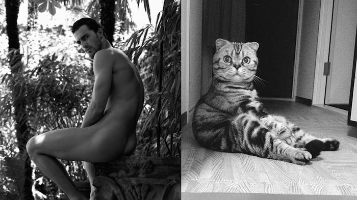 tumblr_mr7rpiKCix1s77zr6o1_1280