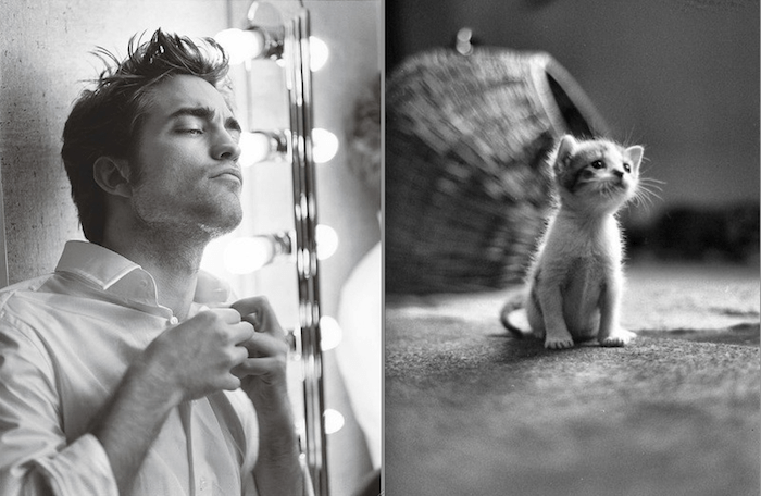 tumblr_mutfkoshts1s77zr6o1_1280