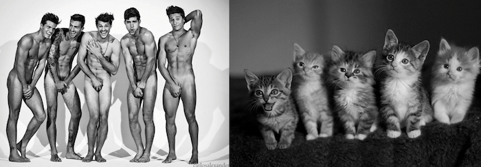 tumblr_mv6ftufP6c1s77zr6o1_1280