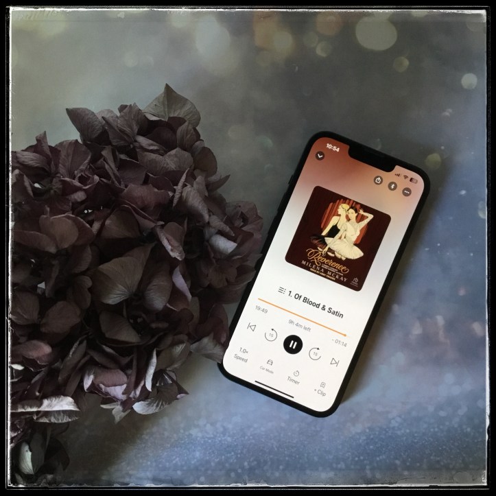 On a muted multicolored background, an iPhone with the cover of Reverence by Milena McKay, narrated by Abby Craden. Next to it are dark hydrangea flowers.